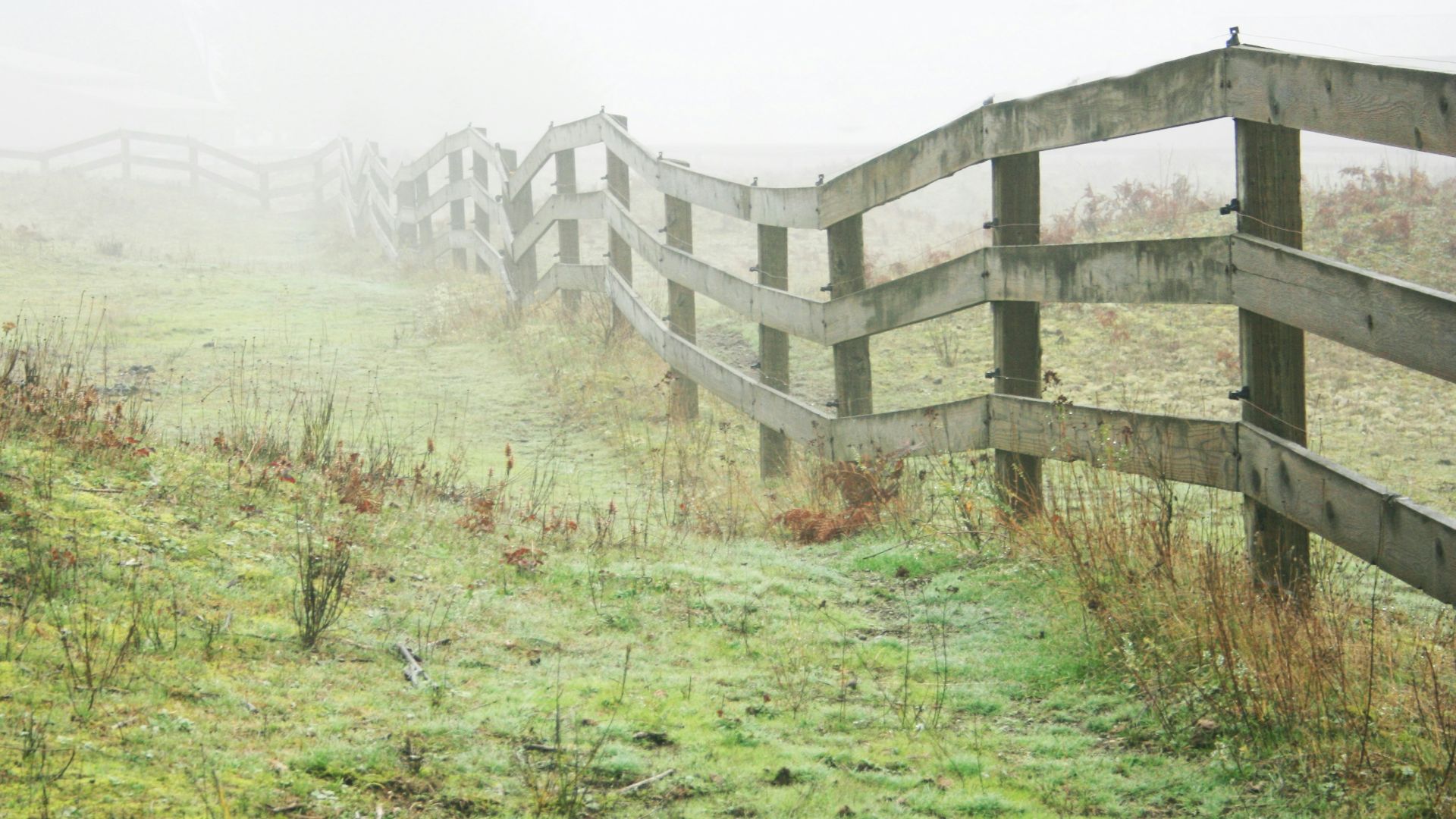 brown wooden fence on green grass field