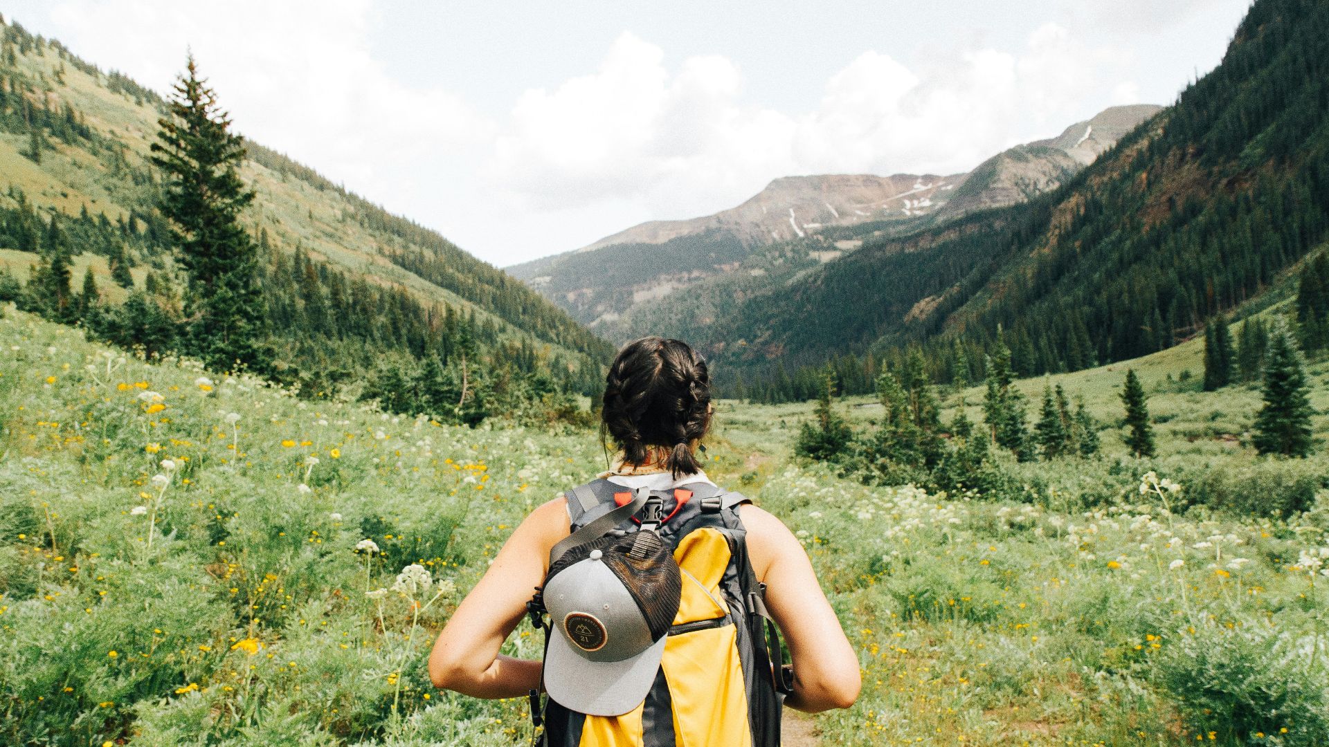 person carrying yellow and black backpack walking between green plants