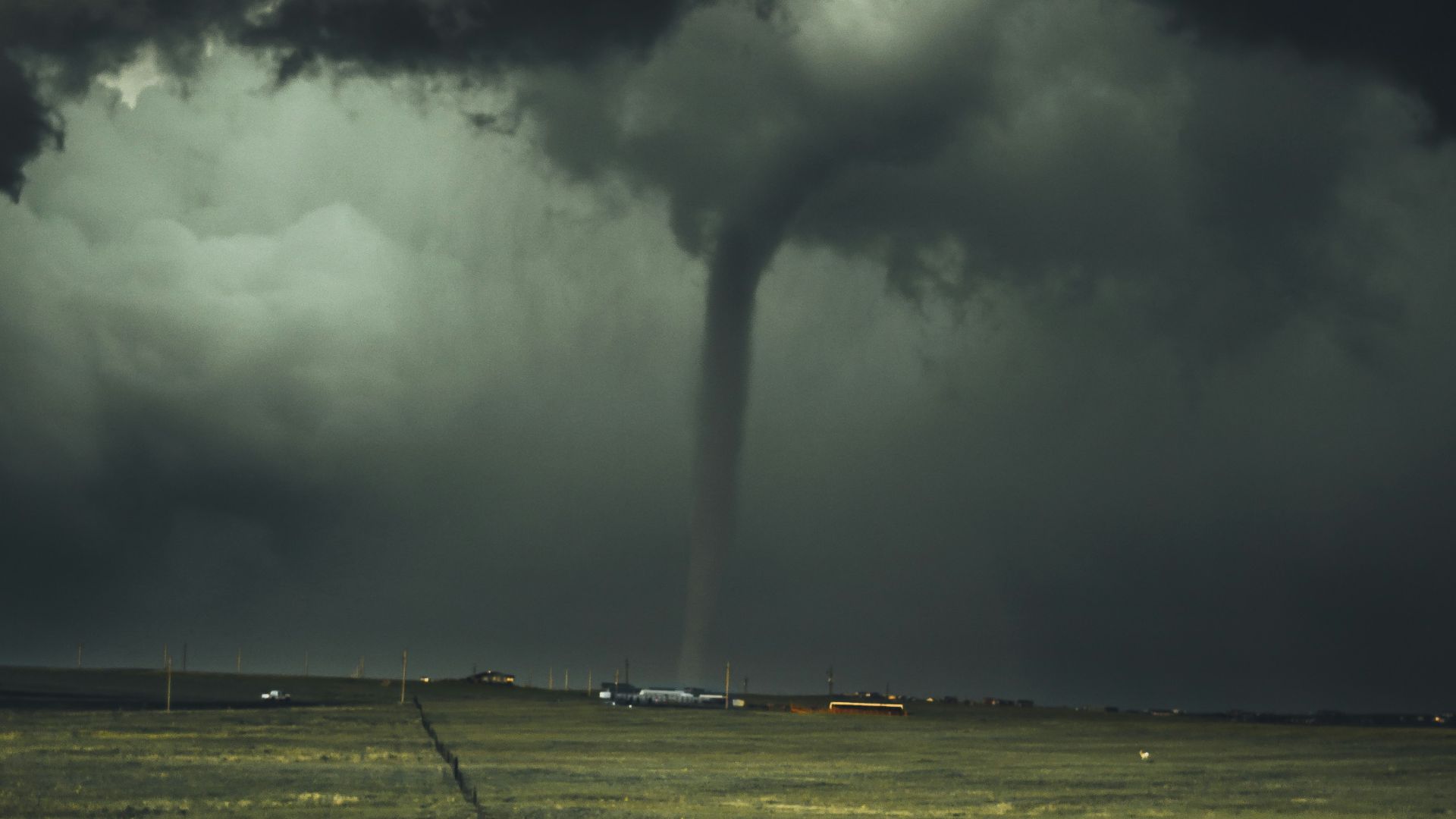 storm near leafed plants