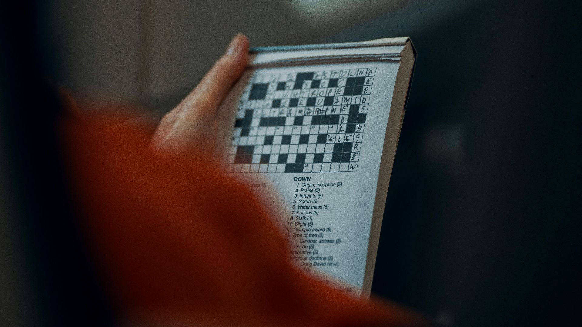 178828489238498d17859701bfe65fe23132246e17f556c9f7.jpg