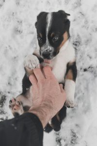 daniel-lincoln-1402691-unsplash-200x300.jpg