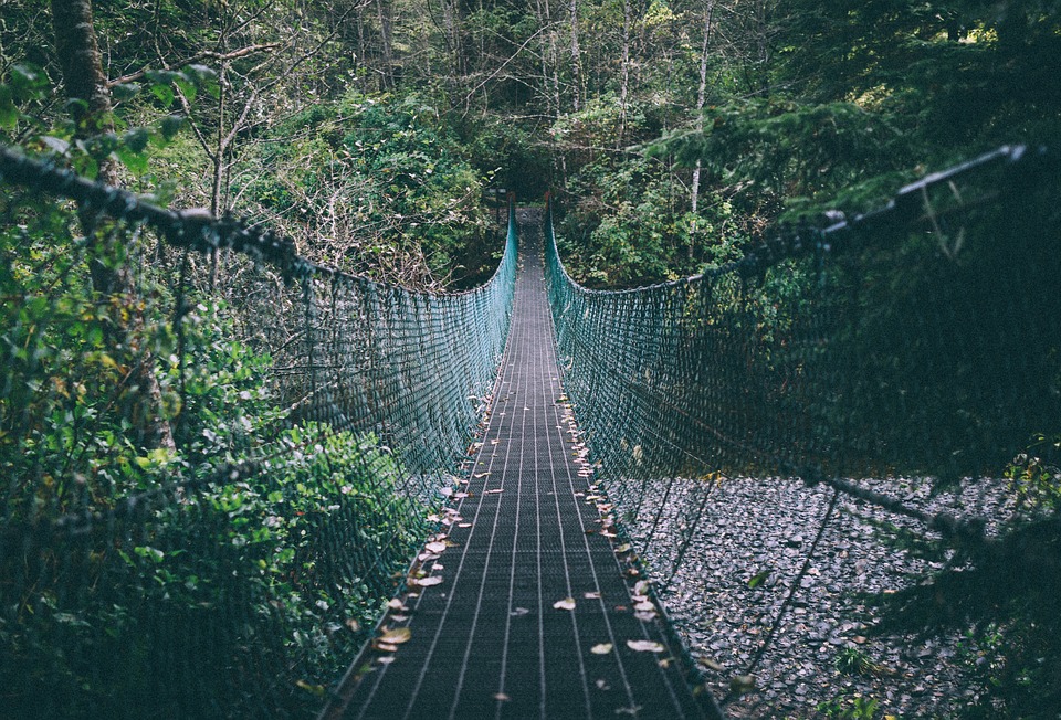 foot-bridge-1030826_960_720-1541465554560.jpg