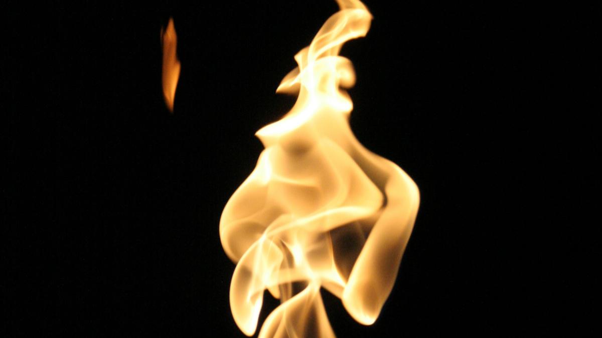 19198-1549044551343.jpg
