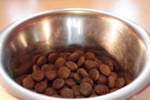 food-bowl-281978-300x200.jpg