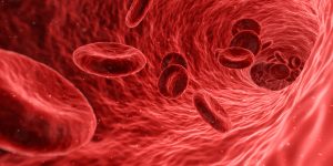 blood-1813410-1-300x150.jpg