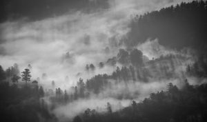 foggy-1149180-300x177.jpg