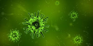 virus-1812092-300x150.jpg
