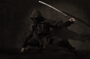 ninja-2007576-300x199.jpg
