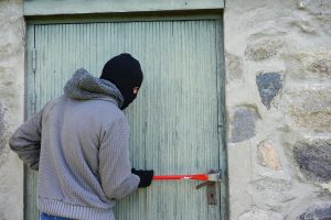 thief-1562699-300x200.jpg