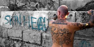 skinhead-364824-300x152.jpg