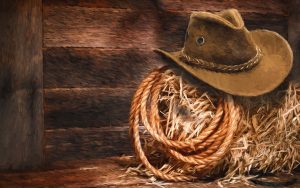 lasso-1202578_1280-300x188.jpg