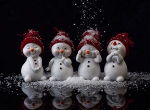 snowman-3900756_1920-300x220.jpg