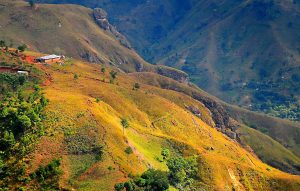 haiti-79646-300x191.jpg