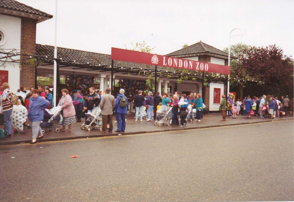 London Zoo - Geograph.org.uk - 2505840