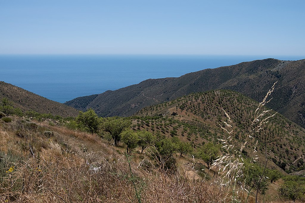 Dscf1001 Alpujarra Sea Sierra Nevada