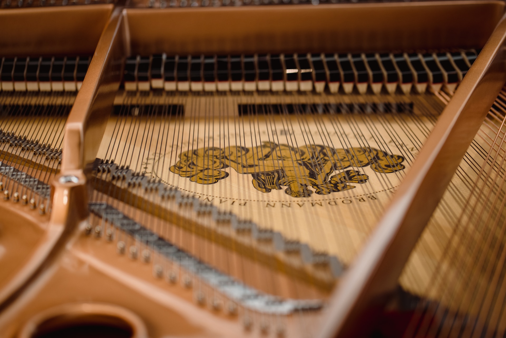 Jason-Leung-Zvy0I08Upam-Unsplash