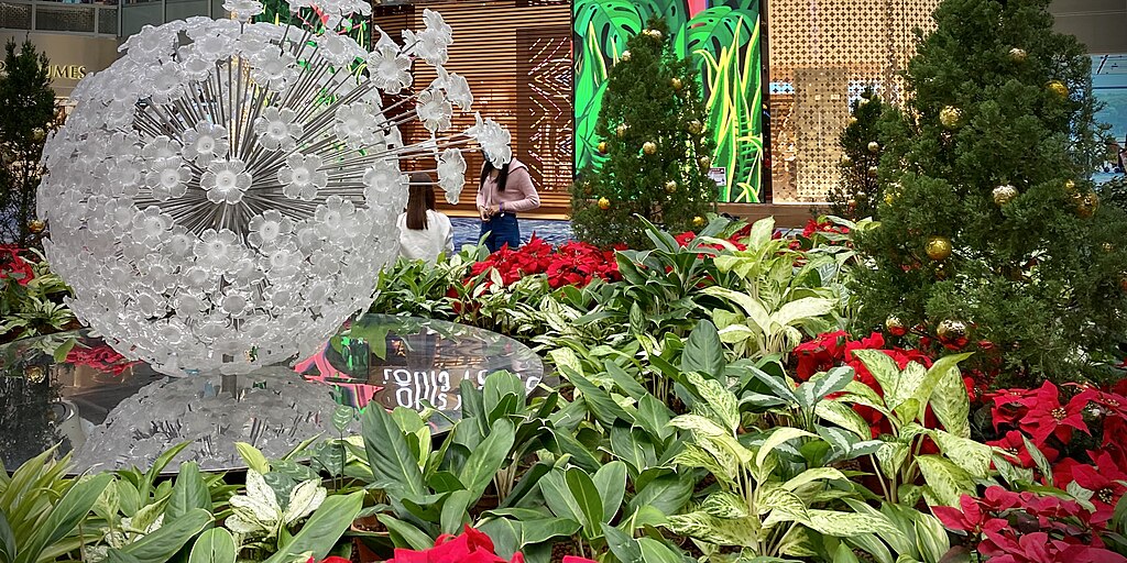 1024px-changiinternationalairportsingaporedecember2021-interiorgarden.jpg
