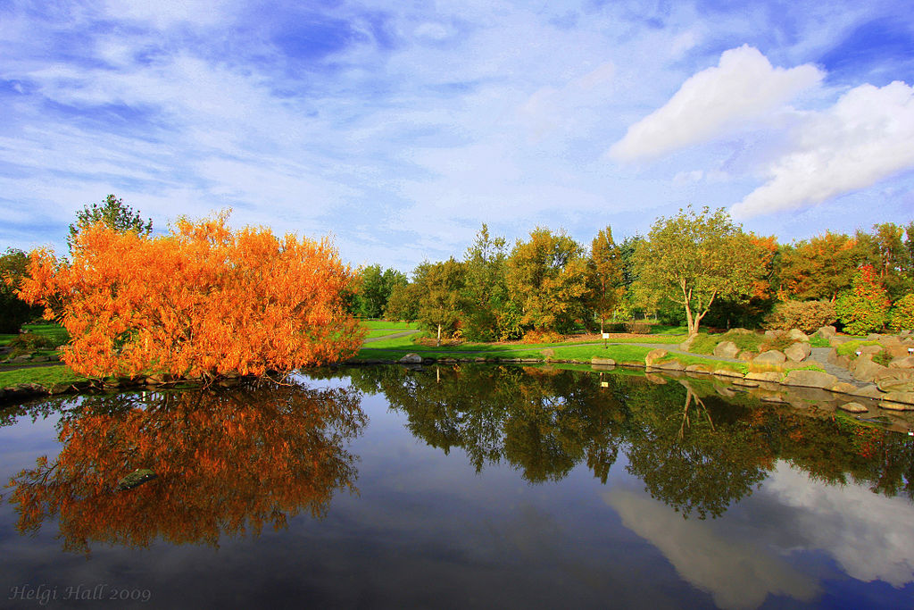 1024Px-A Few Days Ago (3950606192)