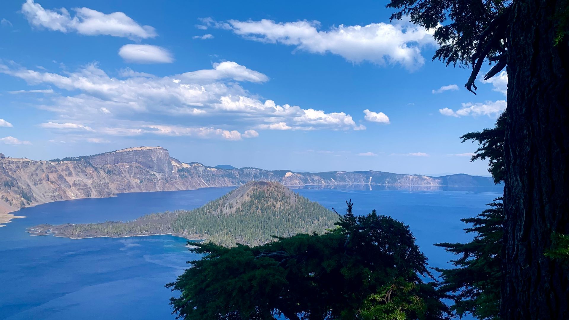 a large body of water surrounded by trees