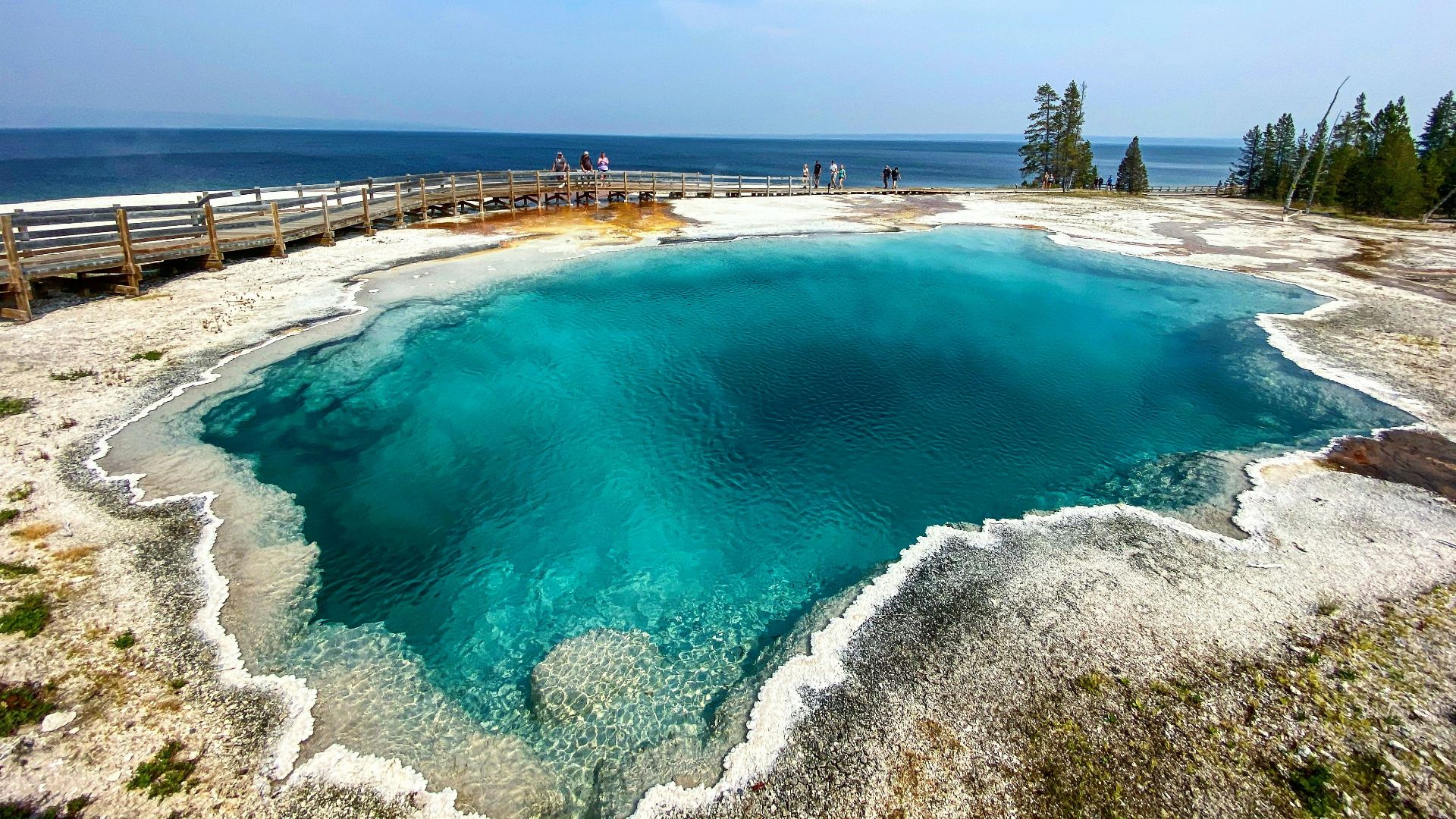green trees near blue sea under blue sky during daytime