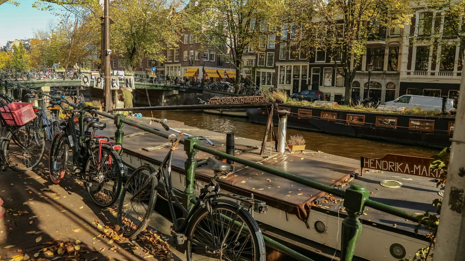 a row of bikes parked next to a river