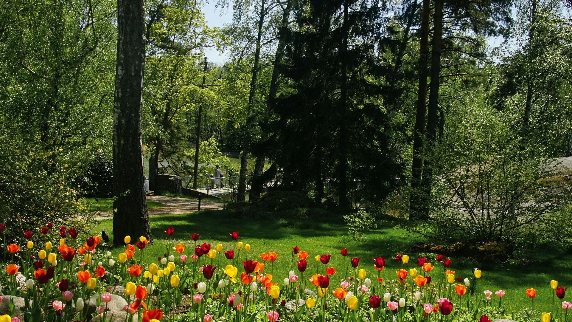 a field full of colorful flowers next to a forest