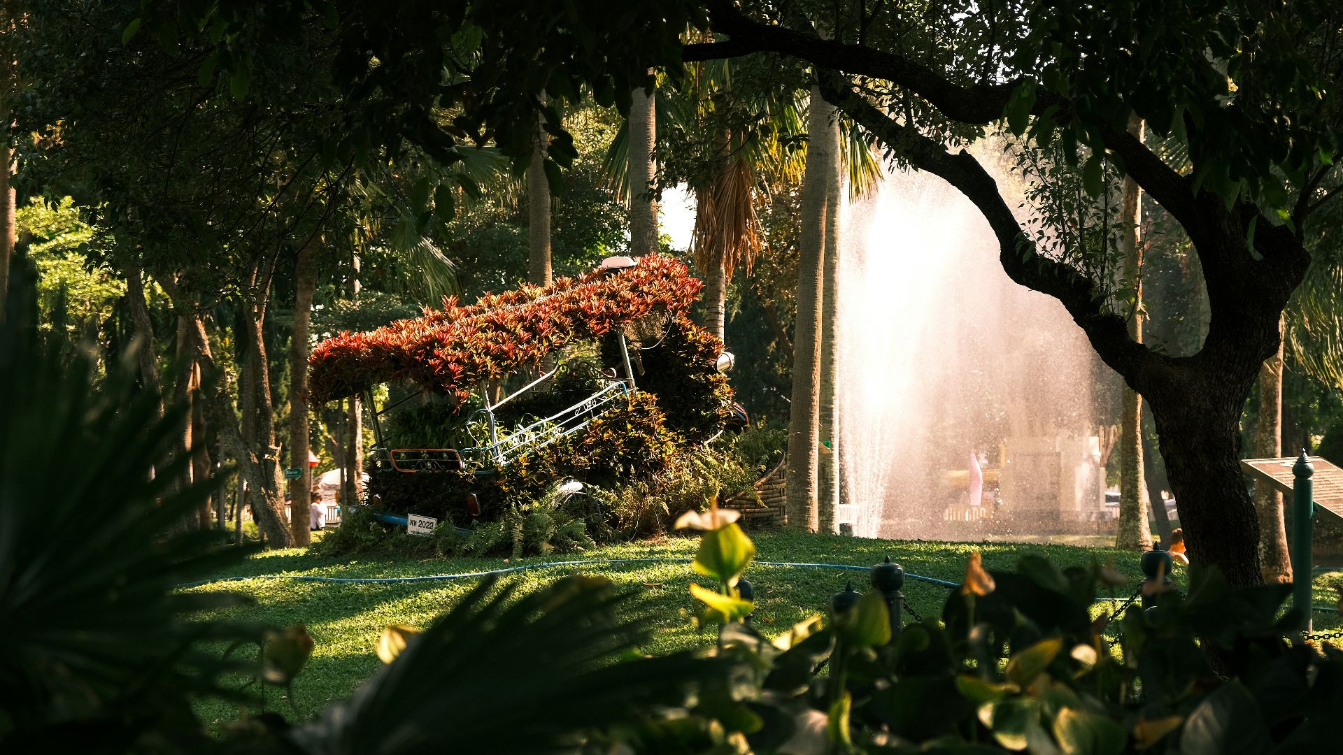 A house in the middle of a lush green park