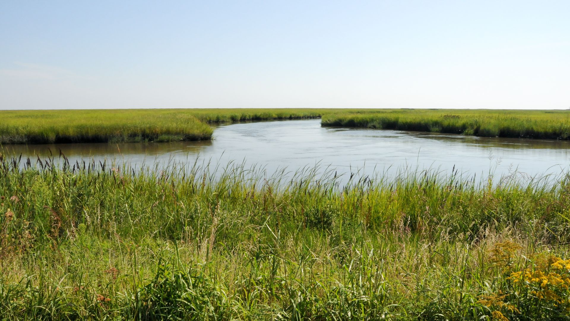 File:Bombay Hook National Wildlife Refuge (29181543632).jpg
