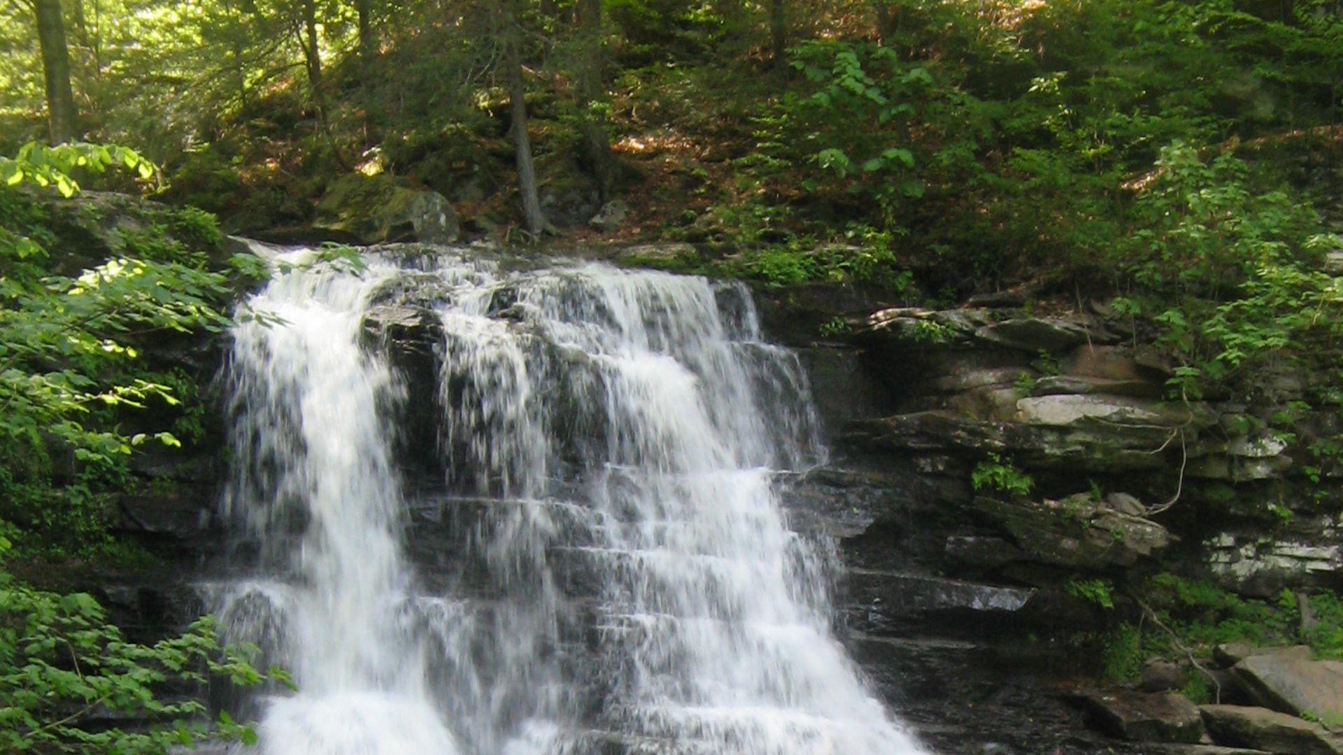 File:Ricketts Glen State Park Erie Falls 1.jpg