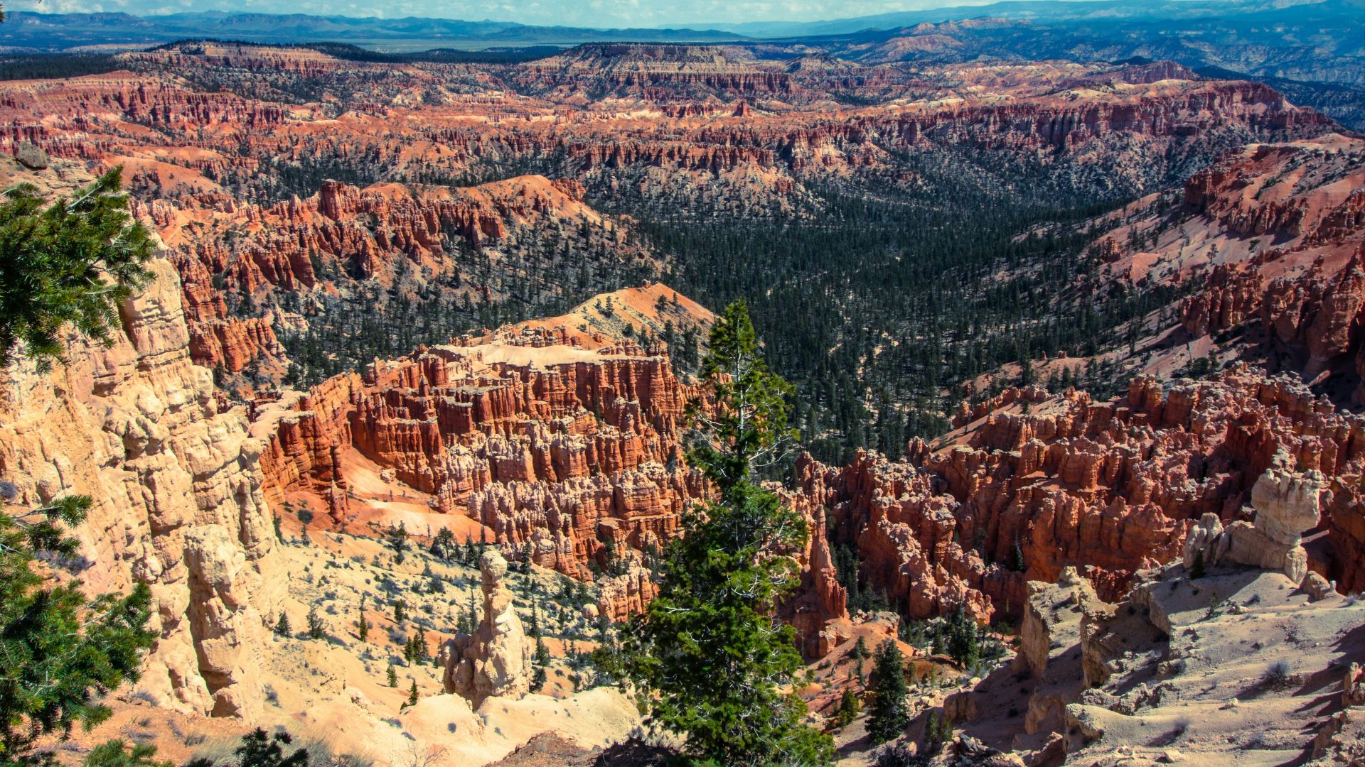 aerial photography of rock formations