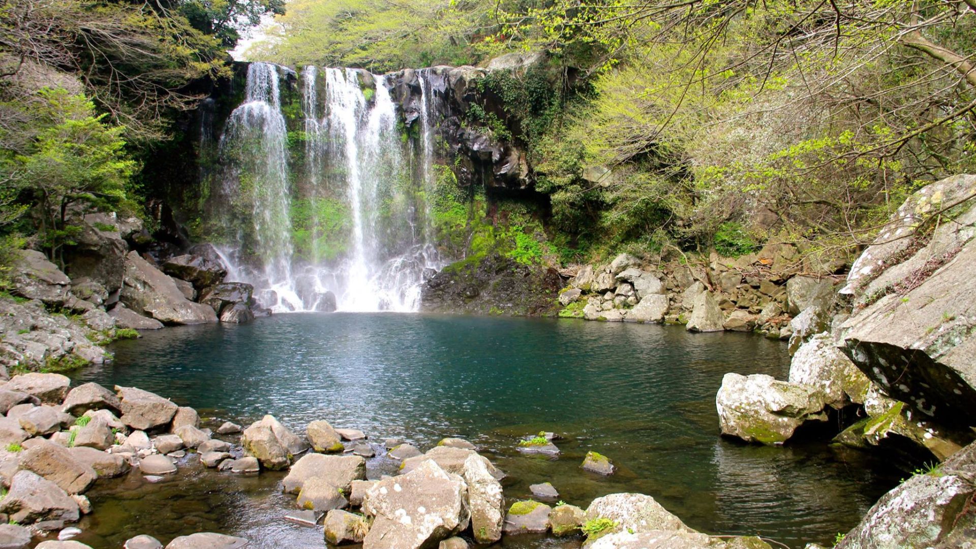 File:Chunjeyeon Waterfall Jeju Island 2- 천제연폭포.jpg