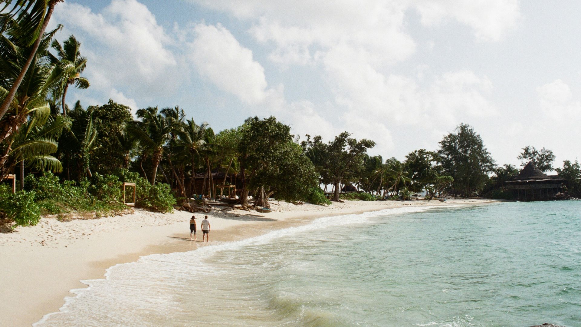 people on beach during daytime