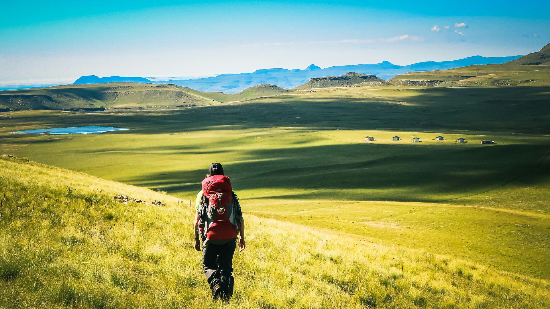 man walking on green grass field