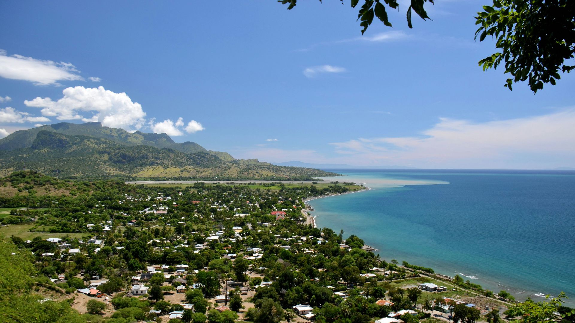 green trees near body of water under blue sky during daytime