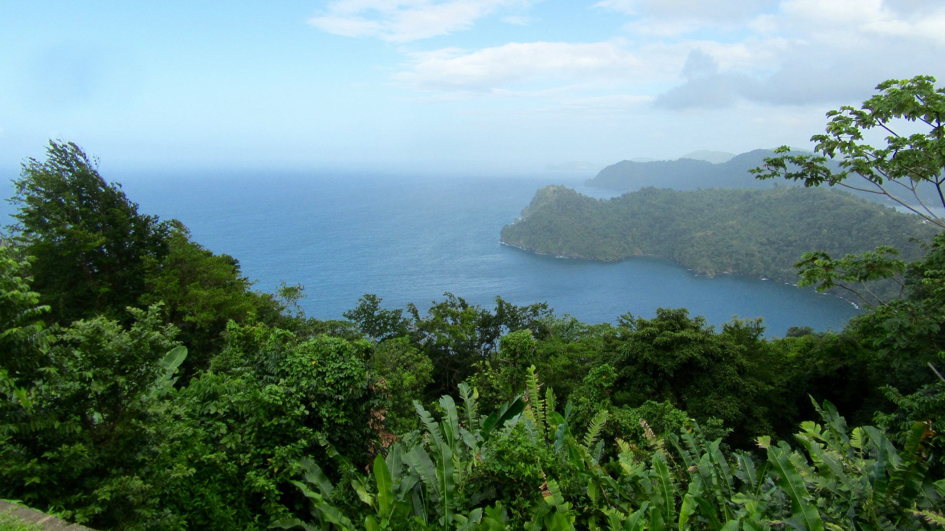 a view of a body of water and trees from a hill