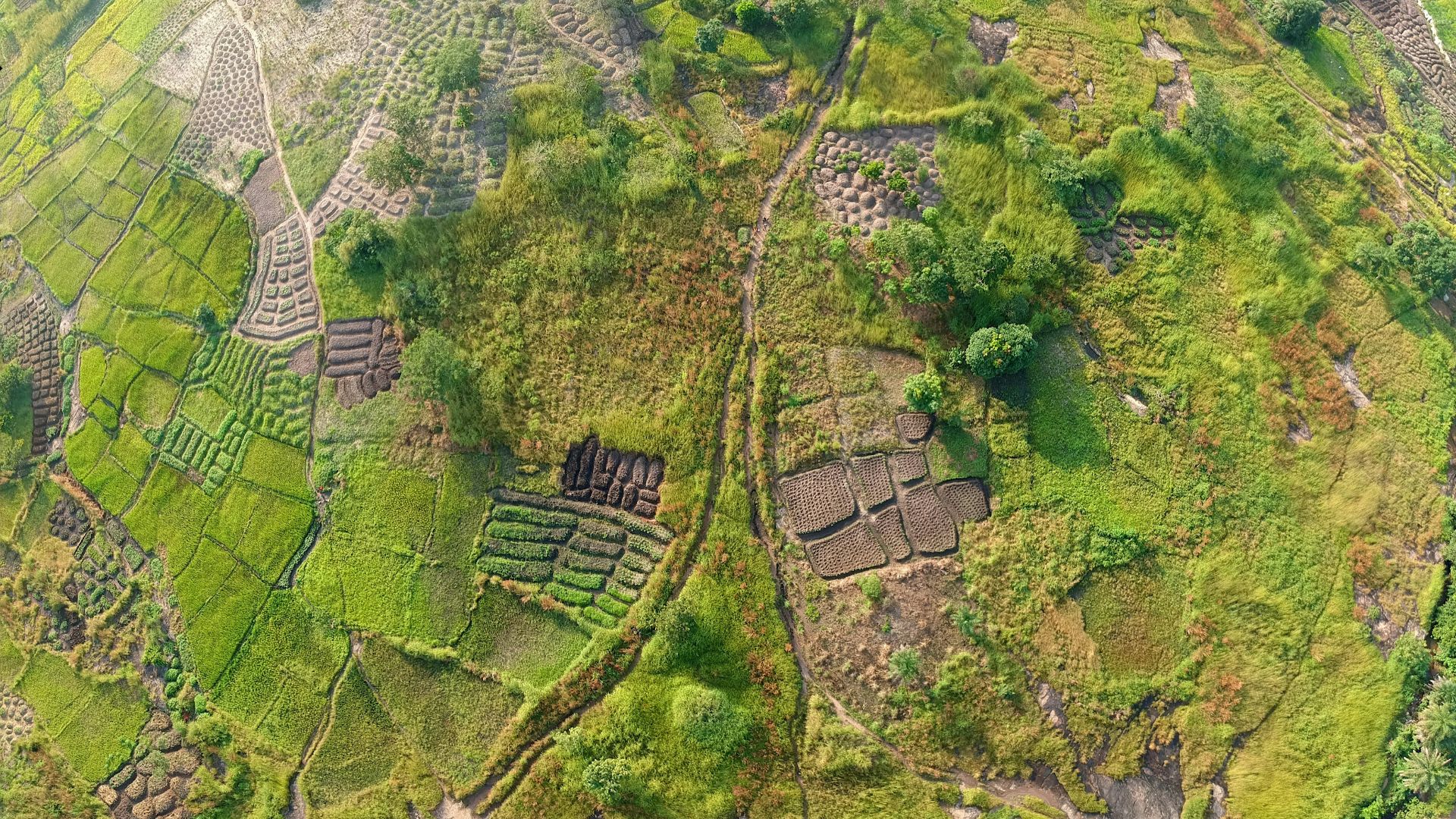 aerial photography of green grass field