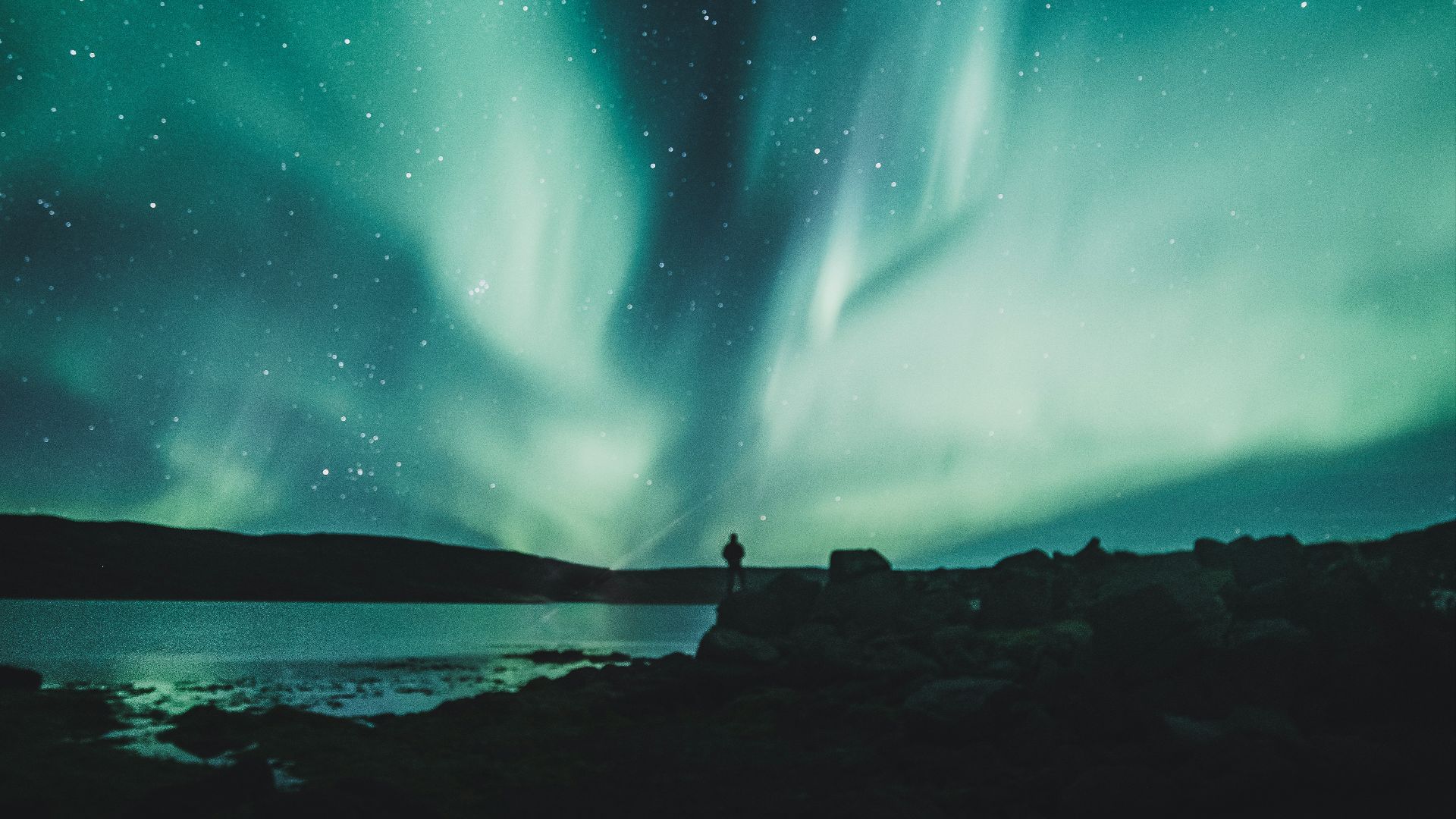 person standing near body of water during aurora northern sky
