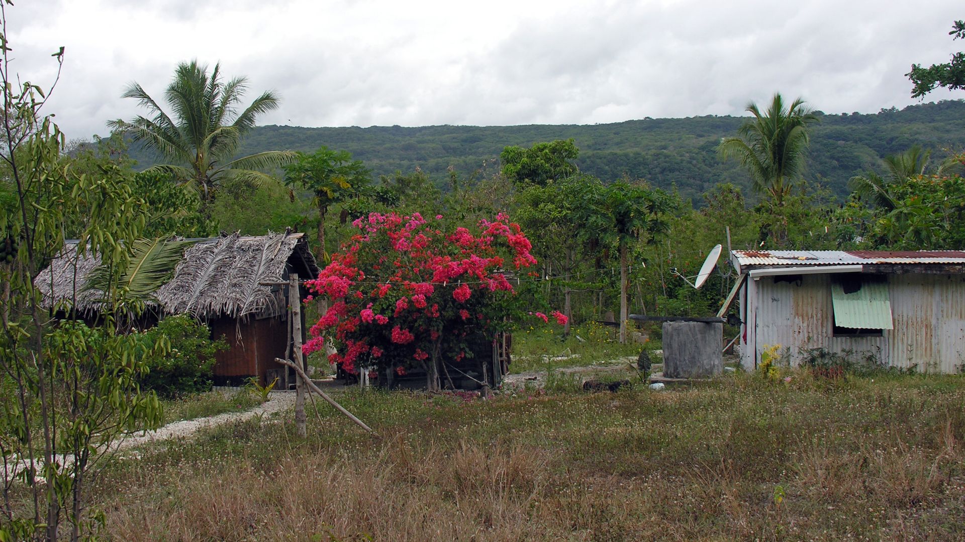 File:Housing on Lelepa, Vanuatu, 2006 - Flickr - PhillipC.jpg