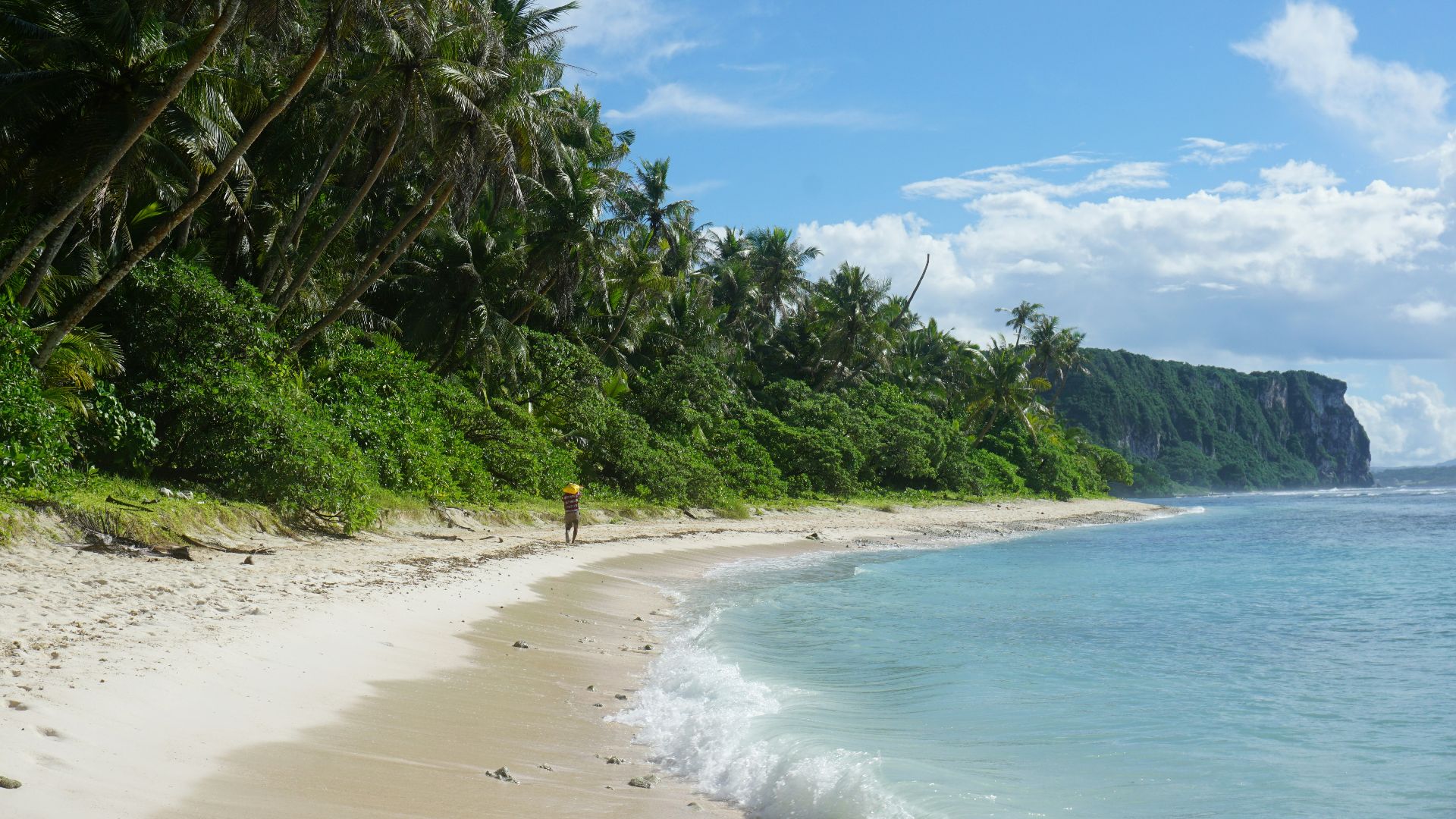 people on beach during daytime