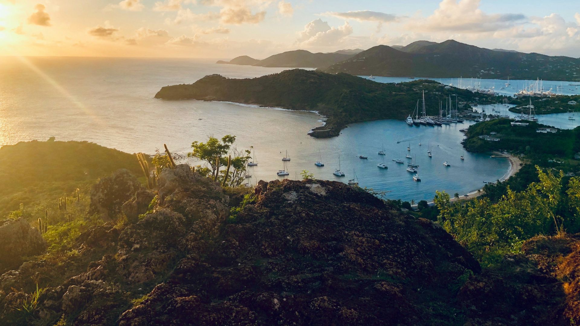 green grass field near body of water during daytime