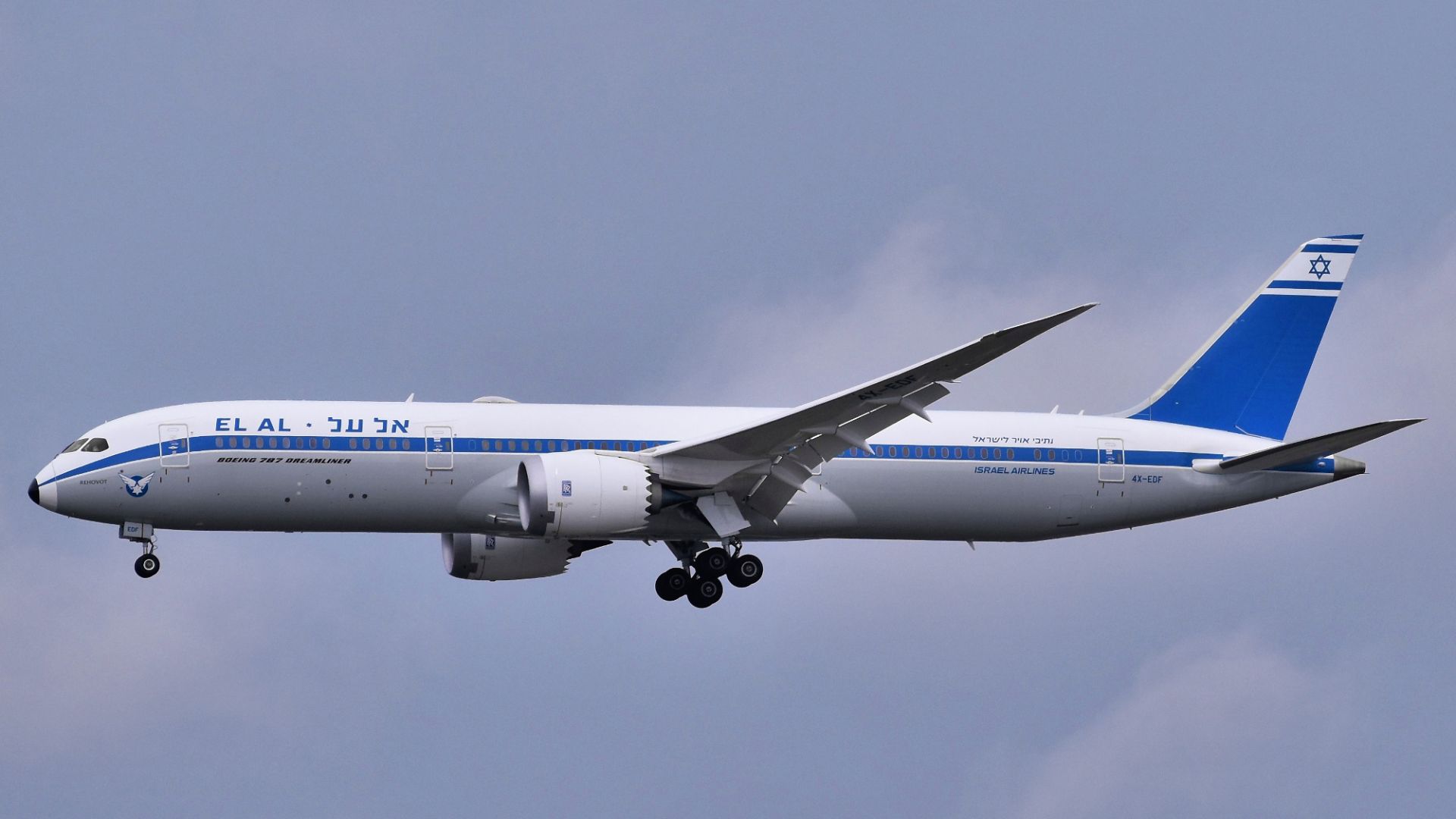 File:El Al Israel Airlines (Retro livery) Boeing 787-9 Dreamliner 4X-EDF arriving at JFK Airport.jpg