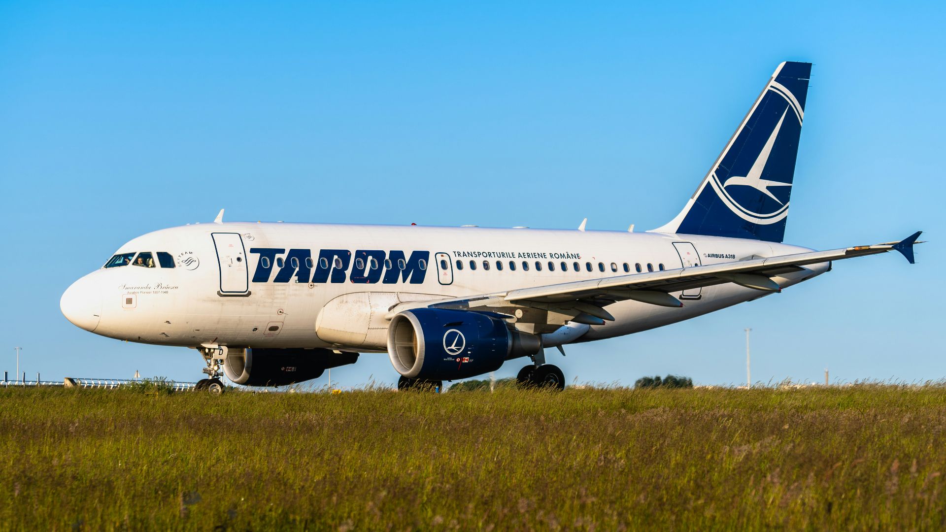 a large jetliner sitting on top of a lush green field