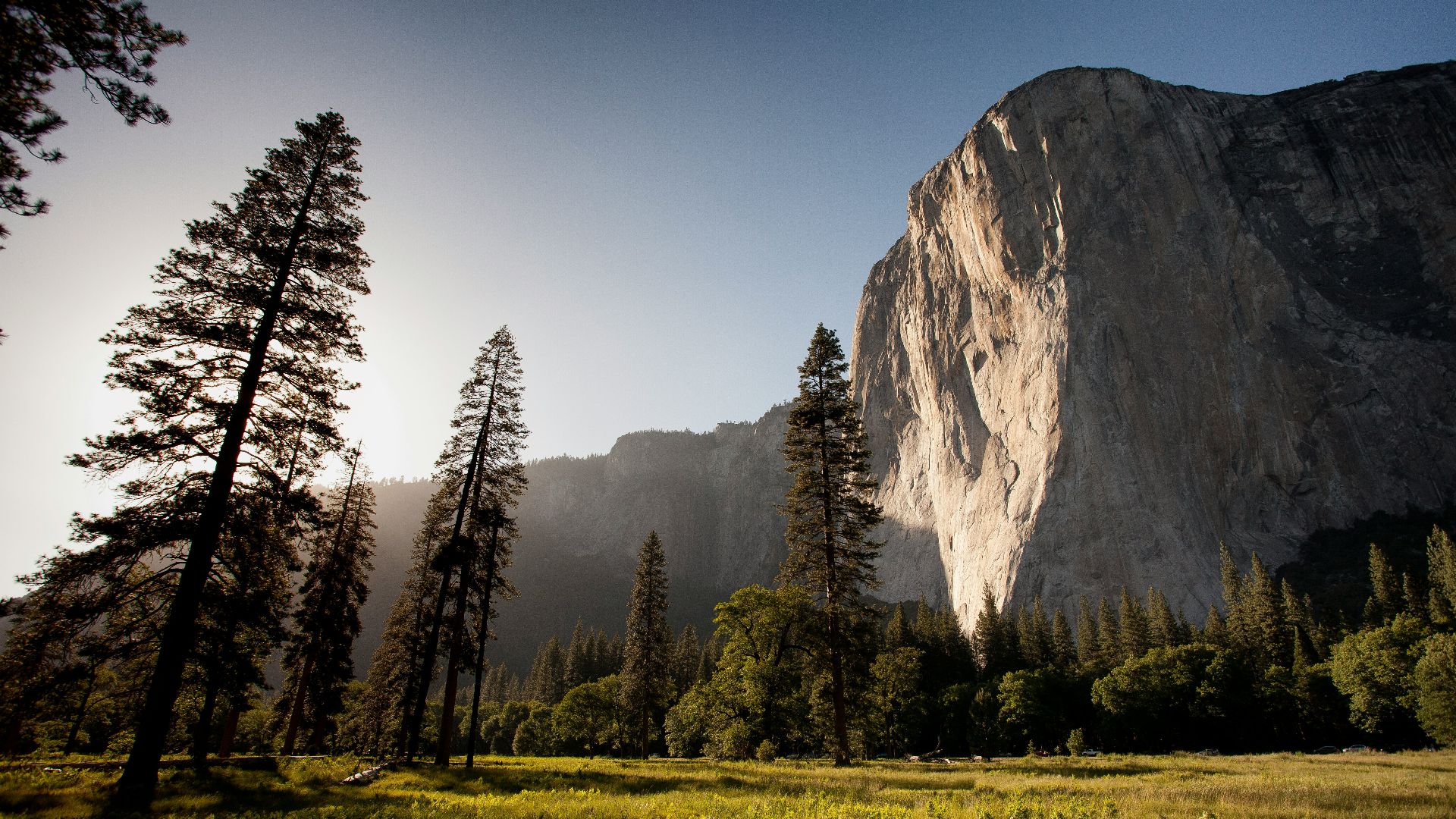 landmark photography of trees near rocky mountain under blue skies daytime