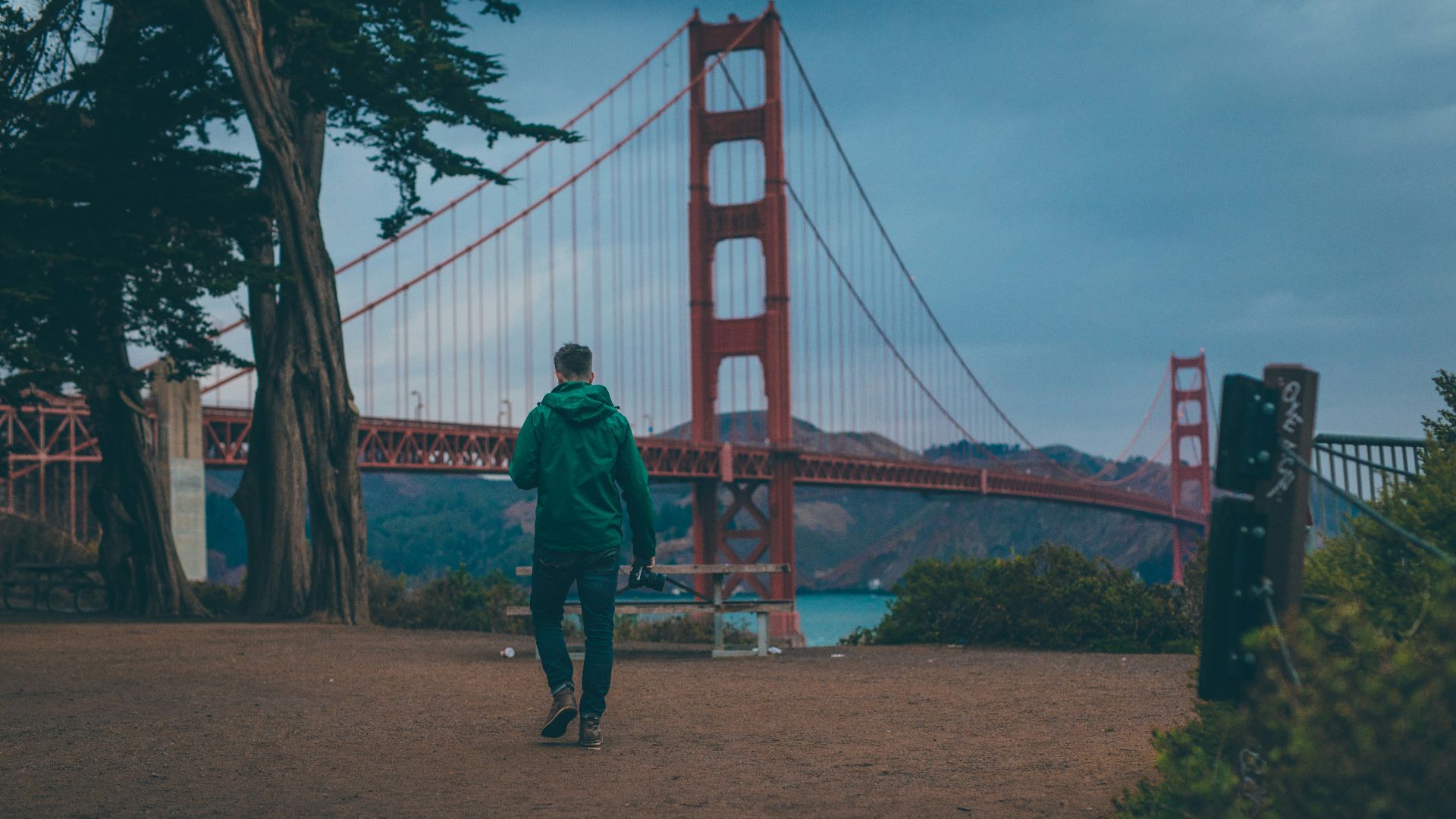 man standing in front tree