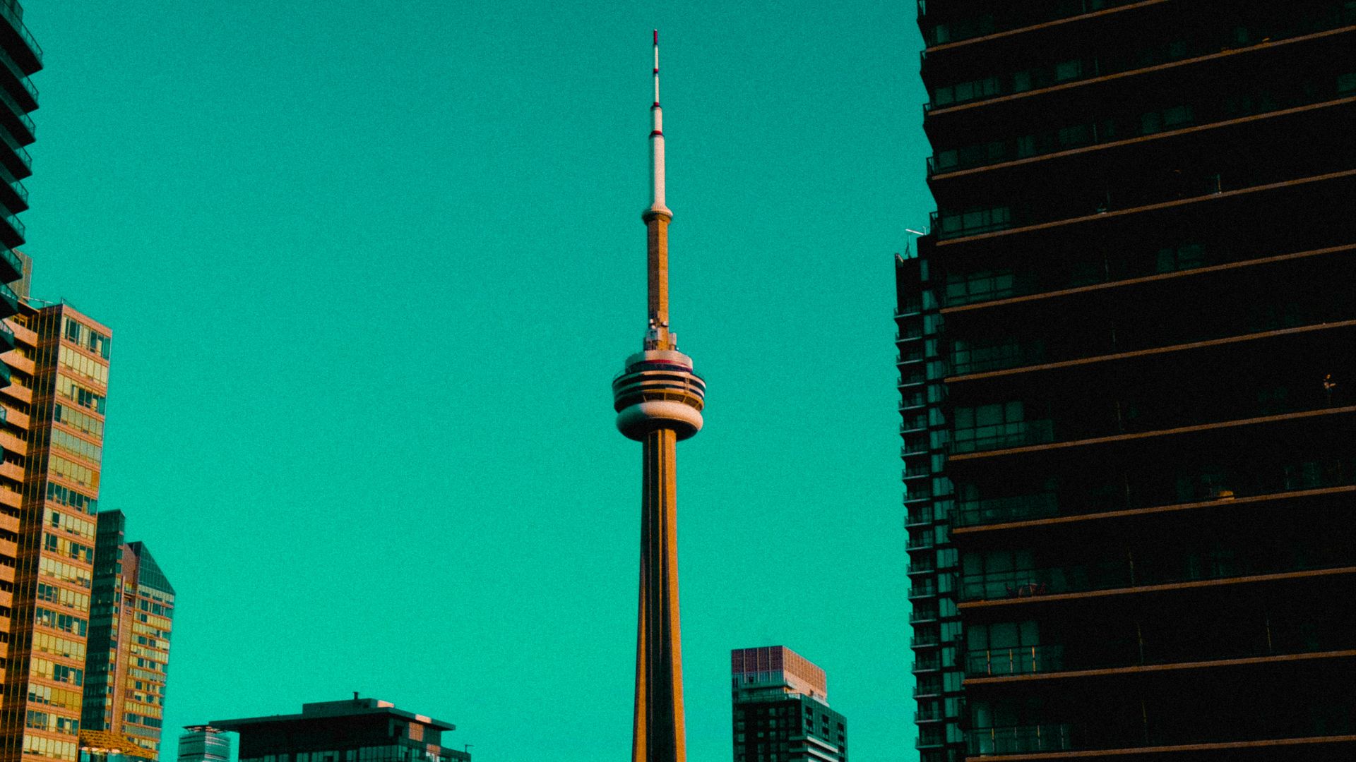 high rise buildings during night time