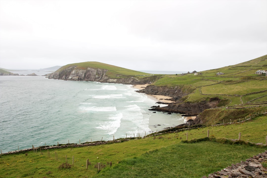 green grass field near body of water during daytime
