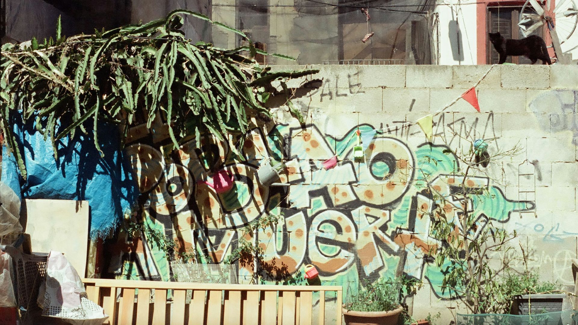a wooden bench sitting in front of a graffiti covered wall