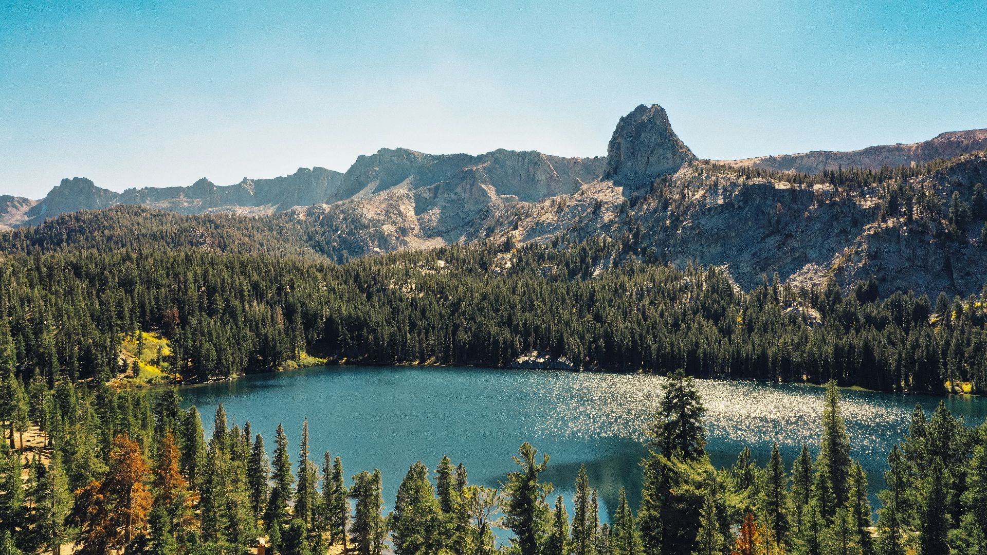 green trees near lake during daytime