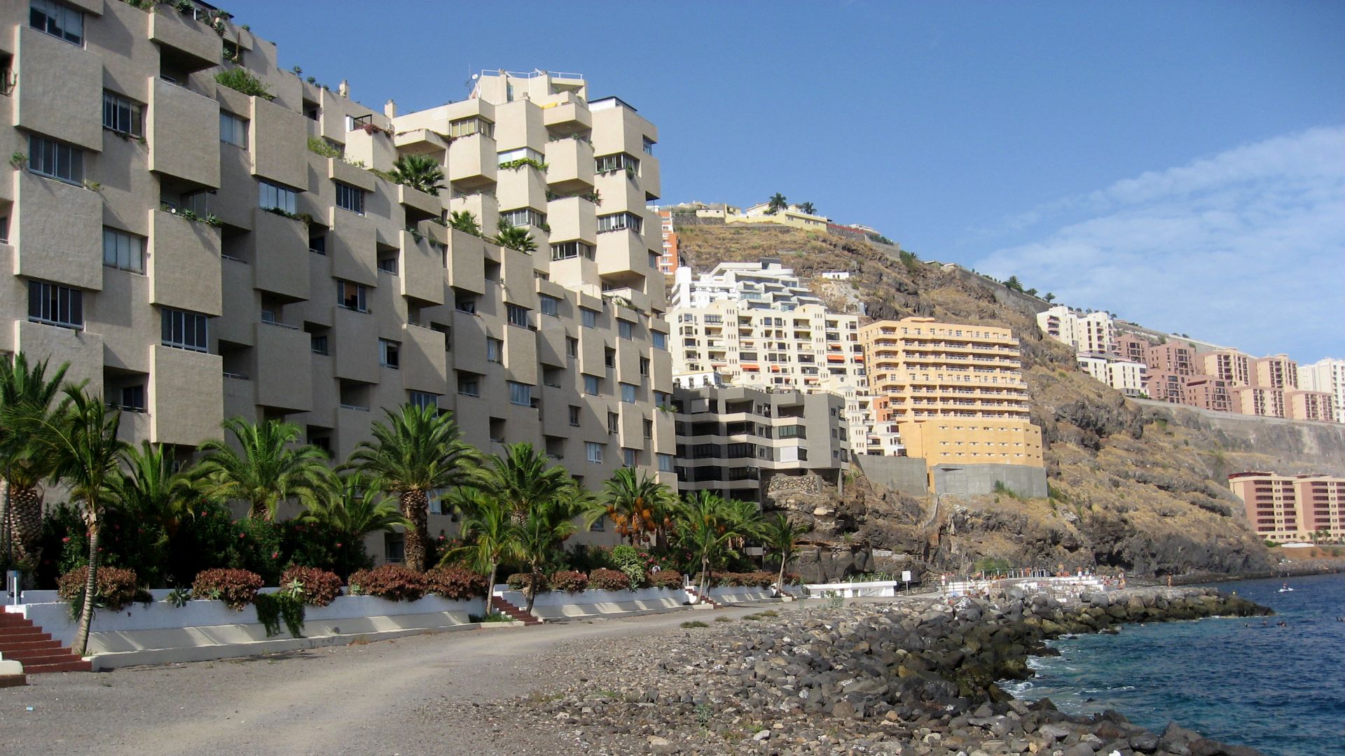 File:Tabaiba baja.jpg