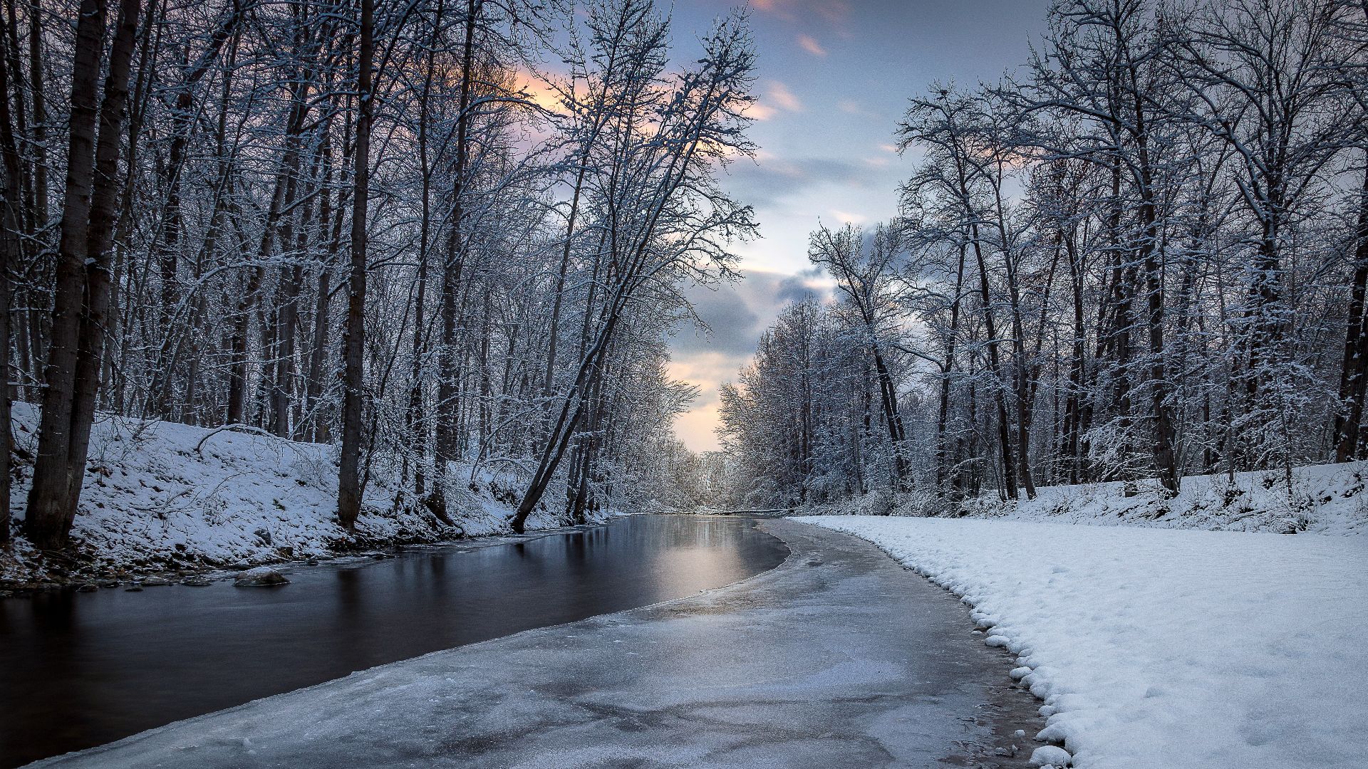creek in between trees covered with snow